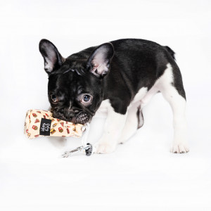 O dog design Kakizacsi- vagy jutifali tartó