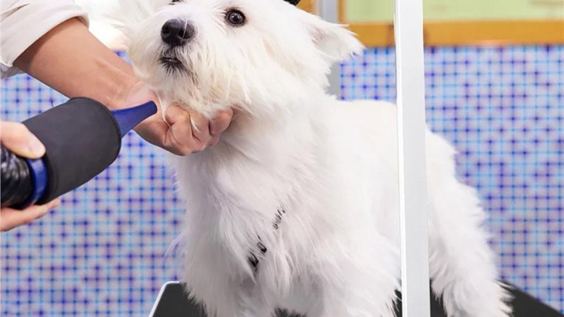 Timeless Tools Kisállatkozmetikai asztal két kikötőkarral