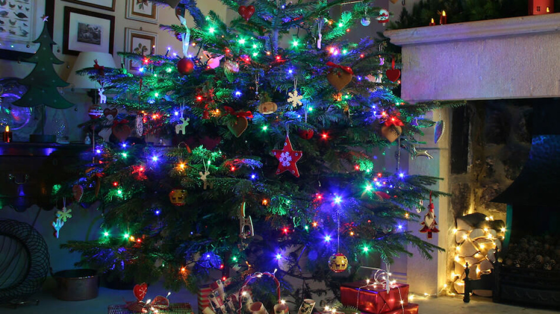 Timeless Tools LED fényfüzér választható méretben és színben-480 LED-es -színes