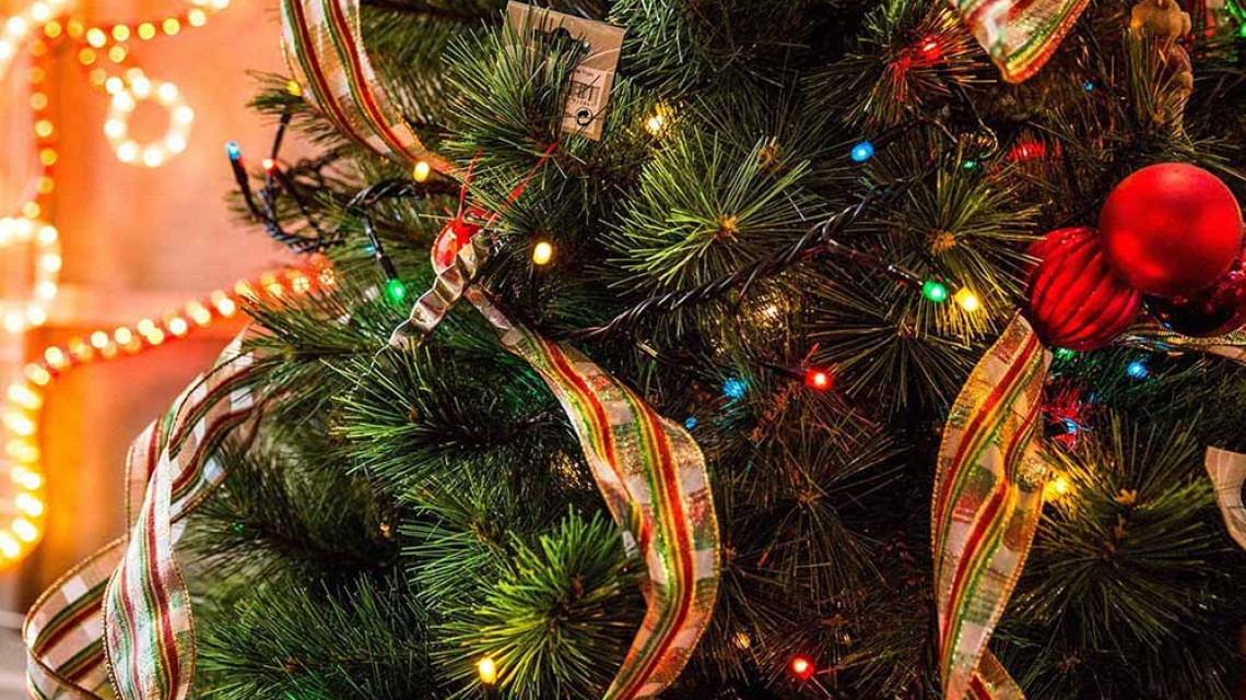 Timeless Tools LED fényfüzér választható méretben és színben-240 LED-es-színes