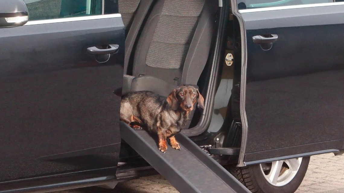 Timeless Tools Rámpa kisállatoknak