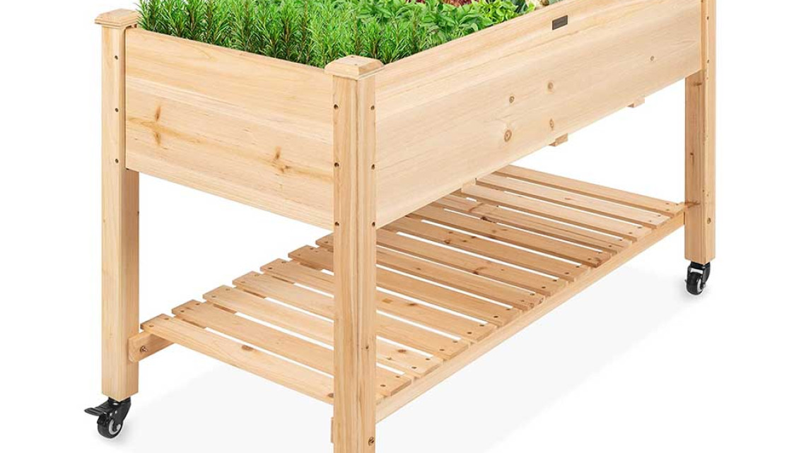 Timeless Tools Guruló fa palántázó