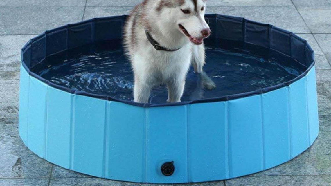 Timeless Tools Kutyamedence