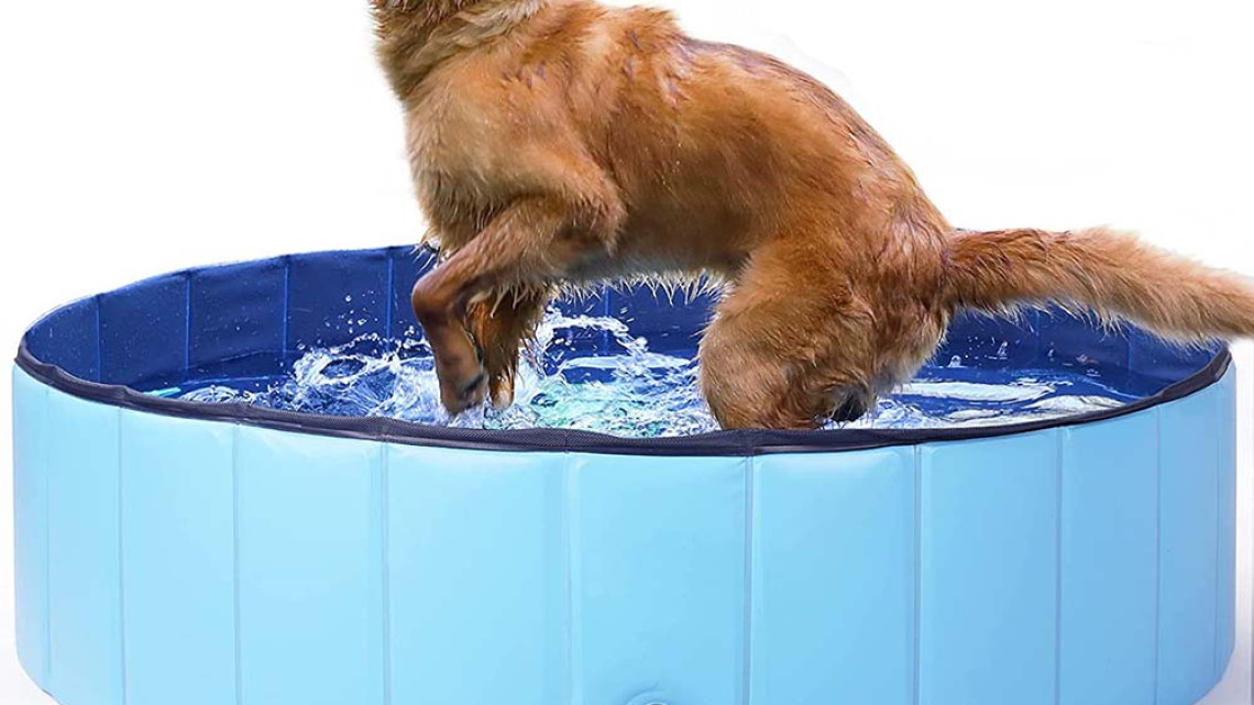 Timeless Tools Kutyamedence